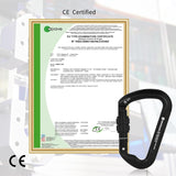 Professional CE Certified 30kN-6744lbs Climbing Carabiner-Screwgate/Black